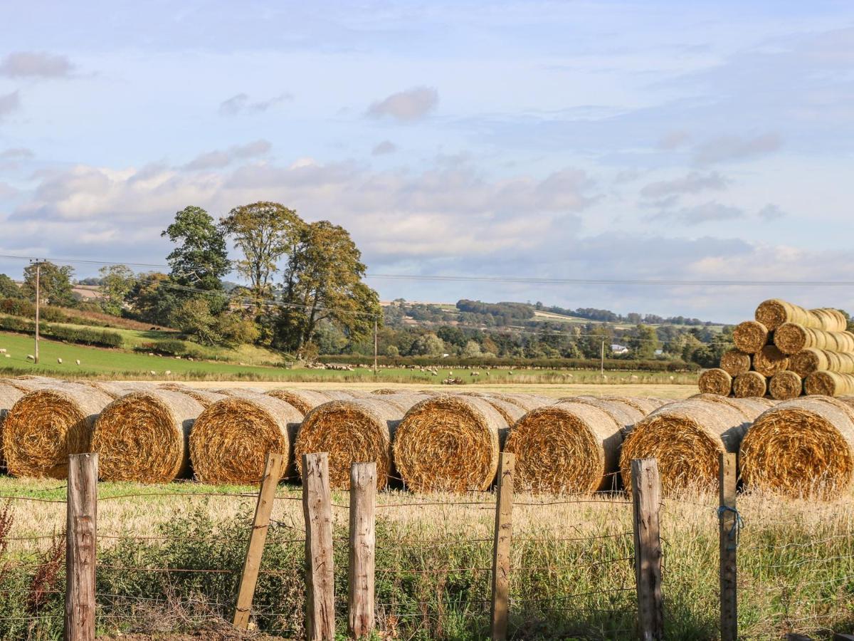 Bonjedward Mill Farm Holiday home *